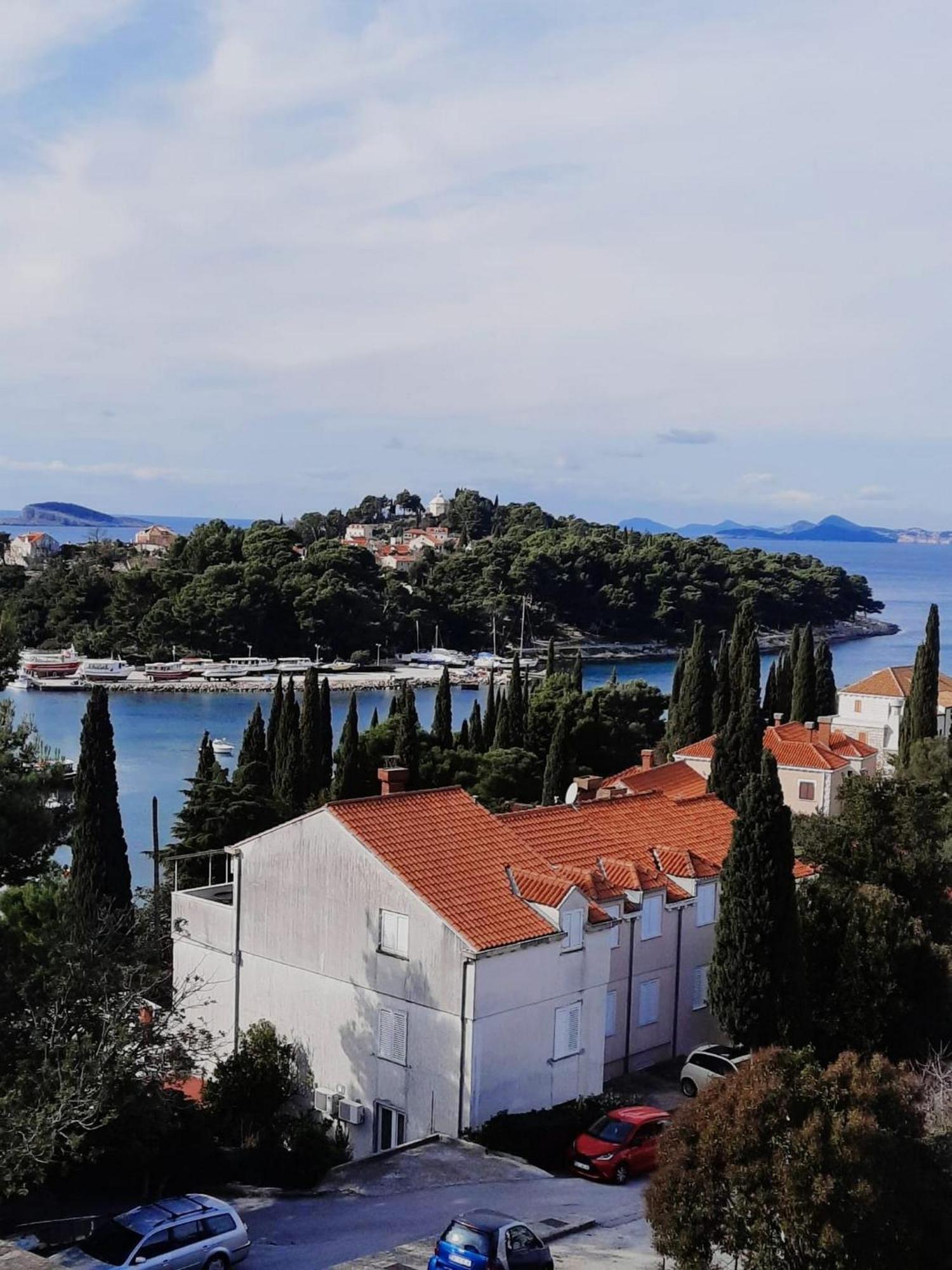Apartments Raguz Cavtat Værelse billede